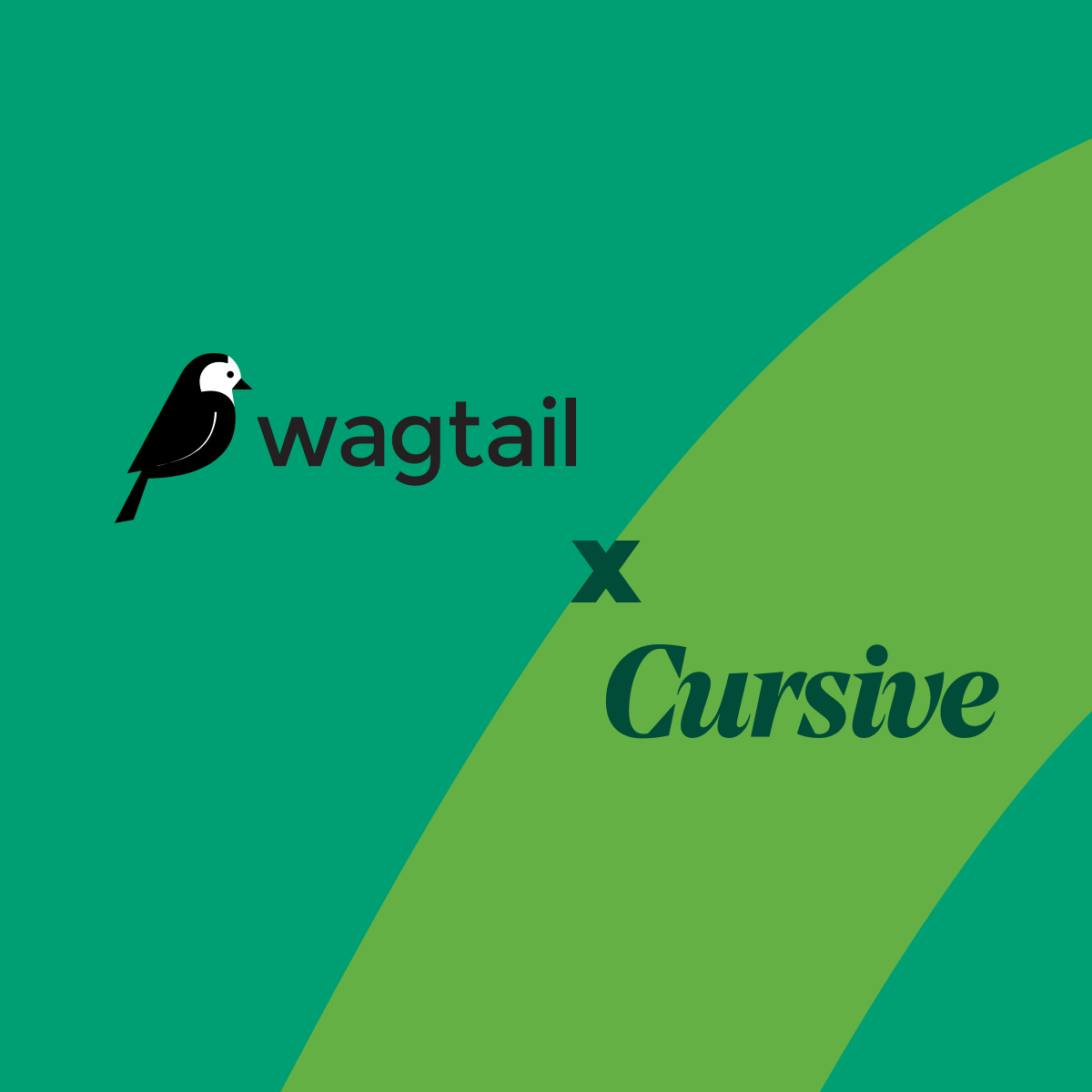 wagtail cms